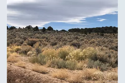 00 Freylinghuysen, Fort Garland, CO 81133 - Photo 12