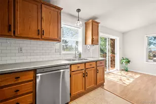 7641 Marmot Point, Colorado Springs, CO 80922 - Photo 12