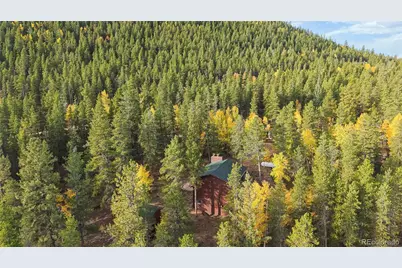 225 Renaud Road, Bailey, CO 80421 - Photo 38