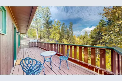 225 Renaud Road, Bailey, CO 80421 - Photo 22