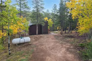 225 Renaud Rd, Bailey, CO 80421 - Photo 30