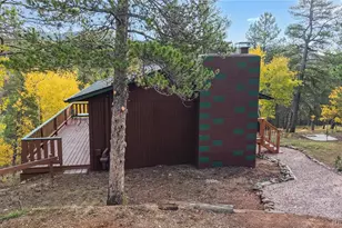 225 Renaud Rd, Bailey, CO 80421 - Photo 34