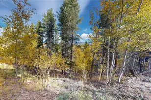 225 Renaud Rd, Bailey, CO 80421 - Photo 28