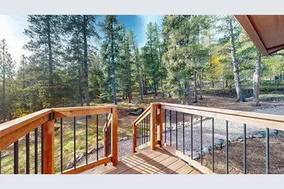 225 Renaud Road, Bailey, CO 80421 - Photo 22