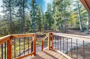 225 Renaud Rd, Bailey, CO 80421 - Photo 22
