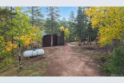 225 Renaud Road, Bailey, CO 80421 - Photo 32
