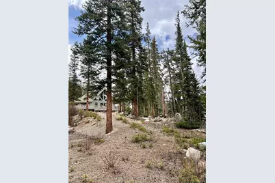 897 Gold Pan Lane, Fairplay, CO 80440 - Photo 8