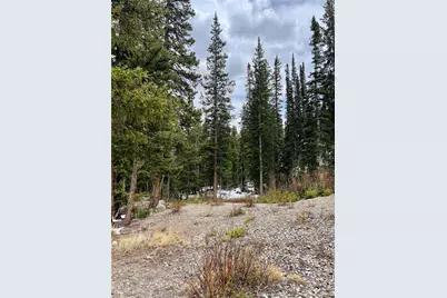 897 Gold Pan Lane, Fairplay, CO 80440 - Photo 10