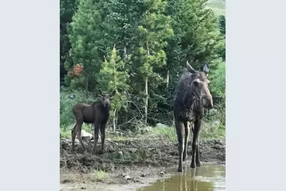26 County Road 4946 Aka Buttercup Lane, Grand Lake, CO 80447 - Photo 28