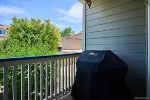 8437 Thunder Ridge Way, Highlands Ranch, CO 80126 - Photo 18