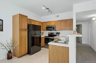 8437 Thunder Ridge Way, Highlands Ranch, CO 80126 - Photo 10