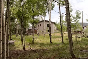 133 Gold Run Rd, Alma, CO 80440 - Photo 34