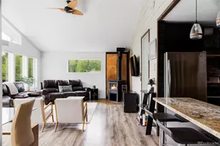 133 Gold Run Rd, Alma, CO 80440 - Photo 6