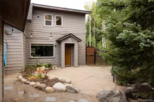 133 Gold Run Rd, Alma, CO 80440 - Photo 32