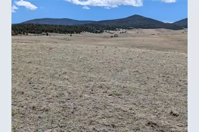 County Road 118, Hartsel, CO 80449 - Photo 18