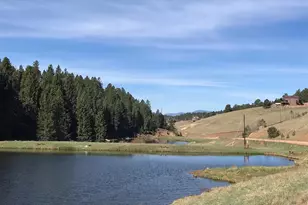 104 Beaver Lake Dr, Divide, CO 80814 - Photo 48