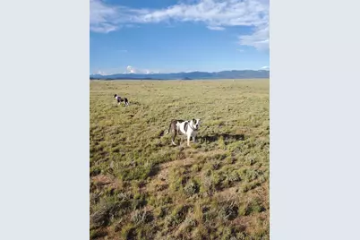 Elk Lane, Hartsel, CO 80449 - Photo 10