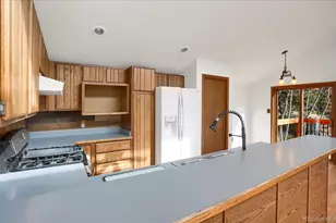 12345 Bear Haven Rd, Conifer, CO 80433 - Photo 16