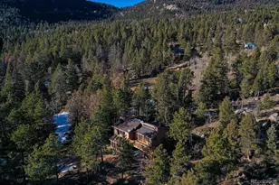 12345 Bear Haven Rd, Conifer, CO 80433 - Photo 38