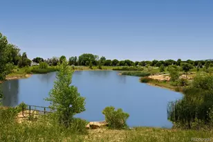3278 Sapinero Dr, Loveland, CO 80538 - Photo 6