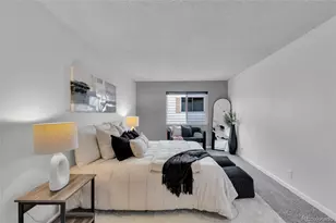 9867 Croke Dr, Denver, CO 80260 - Photo 10