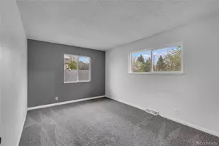 9867 Croke Dr, Denver, CO 80260 - Photo 18