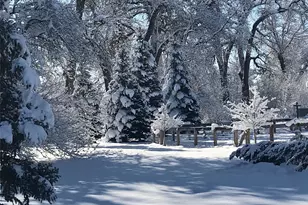 3518 Manzanita Dr, Loveland, CO 80537 - Photo 22