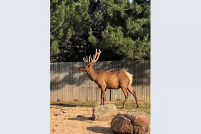 3518 Manzanita Drive, Loveland, CO 80537 - Photo 18
