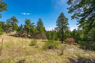 22668 Shawnee Road, Indian Hills, CO 80454 - Photo 4