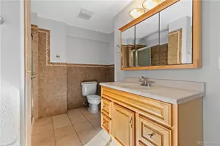 4133 Black Feather Trail, Castle Rock, CO 80104 - Photo 40