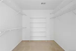 4133 Black Feather Trail, Castle Rock, CO 80104 - Photo 30