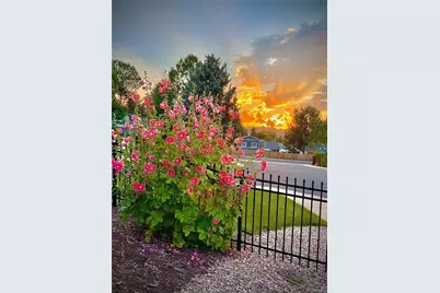 4368 W 111th Avenue, Westminster, CO 80031 - Photo 36