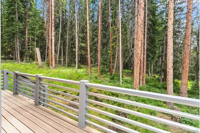 328 535, Breckenridge, CO 80424 - Photo 38