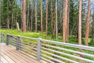 328 535, Breckenridge, CO 80424 - Photo 38