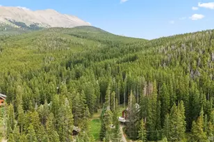 328 535, Breckenridge, CO 80424 - Photo 46