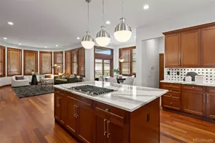 2471 Alton St, Denver, CO 80238 - Photo 12