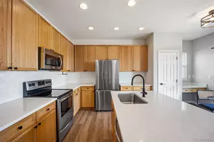 164 Apache Plume St, Brighton, CO 80601 - Photo 4