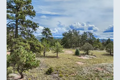 82 Ute Circle, Florissant, CO 80816 - Photo 38