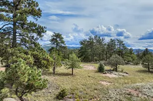 82 Ute Cir, Florissant, CO 80816 - Photo 38