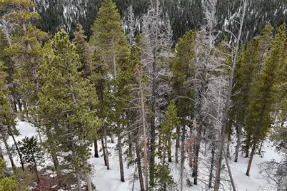 156 Vista Road, Idaho Springs, CO 80452 - Photo 2