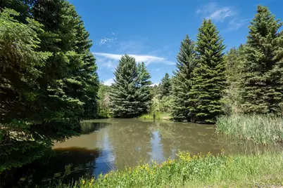 384 Brookside Drive, Bailey, CO 80421 - Photo 40