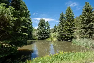 384 Brookside Dr, Bailey, CO 80421 - Photo 40