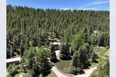 384 Brookside Drive, Bailey, CO 80421 - Photo 44