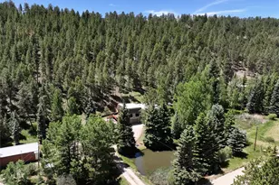 384 Brookside Dr, Bailey, CO 80421 - Photo 44