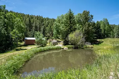 384 Brookside Drive, Bailey, CO 80421 - Photo 38