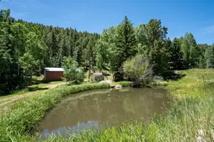 384 Brookside Dr, Bailey, CO 80421 - Photo 38