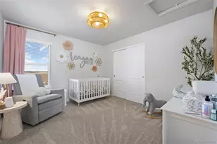 7315 Blue Water Dr, Castle Rock, CO 80108 - Photo 28