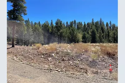 300 Virginia Avenue, Leadville, CO 80461 - Photo 8