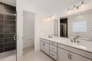 474 Basin Daisy St, Castle Rock, CO 80104 - Photo 8