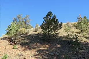 12864 Elkhorn Rd, Como, CO 80432 - Photo 38
